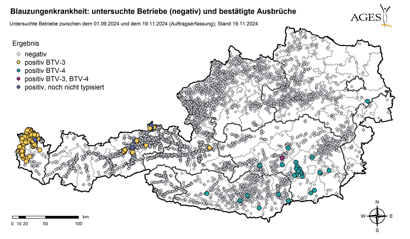 Österreichkarte: Eingezeichnet sind Ausbrüche und Seit dem 01.09.2024 in Österreich untersuchte Betriebe mit negativem Ergebnis (6699) (Vergrößert das Bild in einem Dialog Fenster)