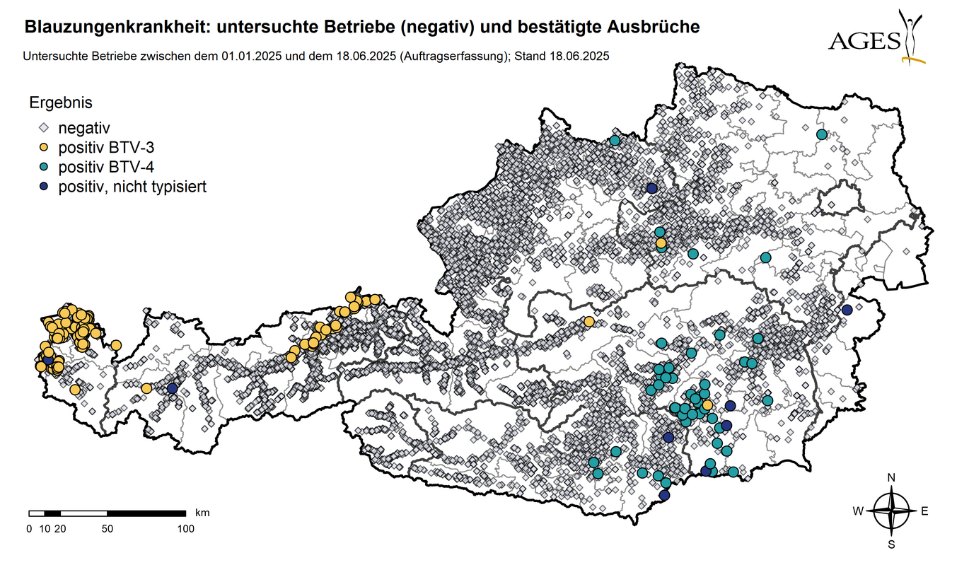 Österreichkarte: Eingezeichnet sind Ausbrüche und seit dem 01.01.2025 in Österreich untersuchte Betriebe mit negativem Ergebnis (10.353) (Vergrößert das Bild in einem Dialog Fenster)