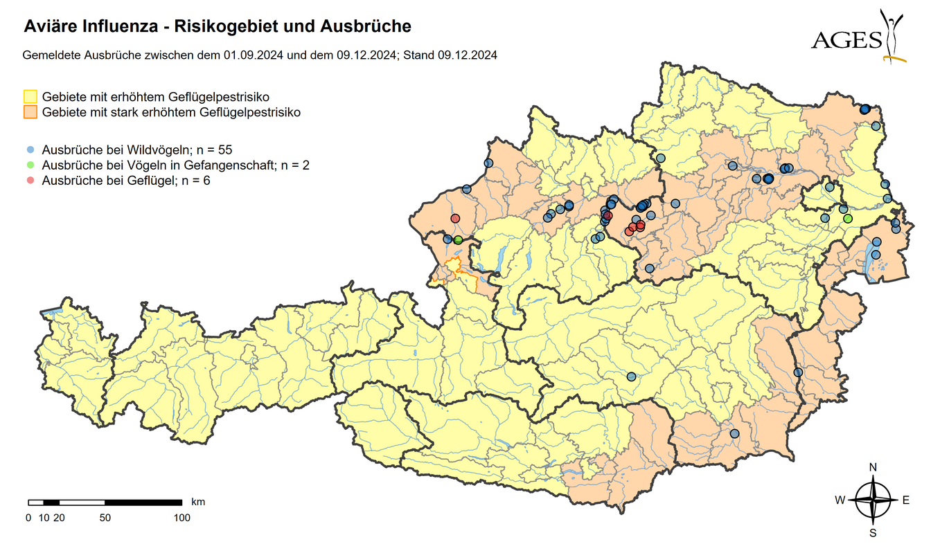 Risikogebiete und HPAI-Ausbrüche seit September 2024 (Vergrößert das Bild in einem Dialog Fenster)