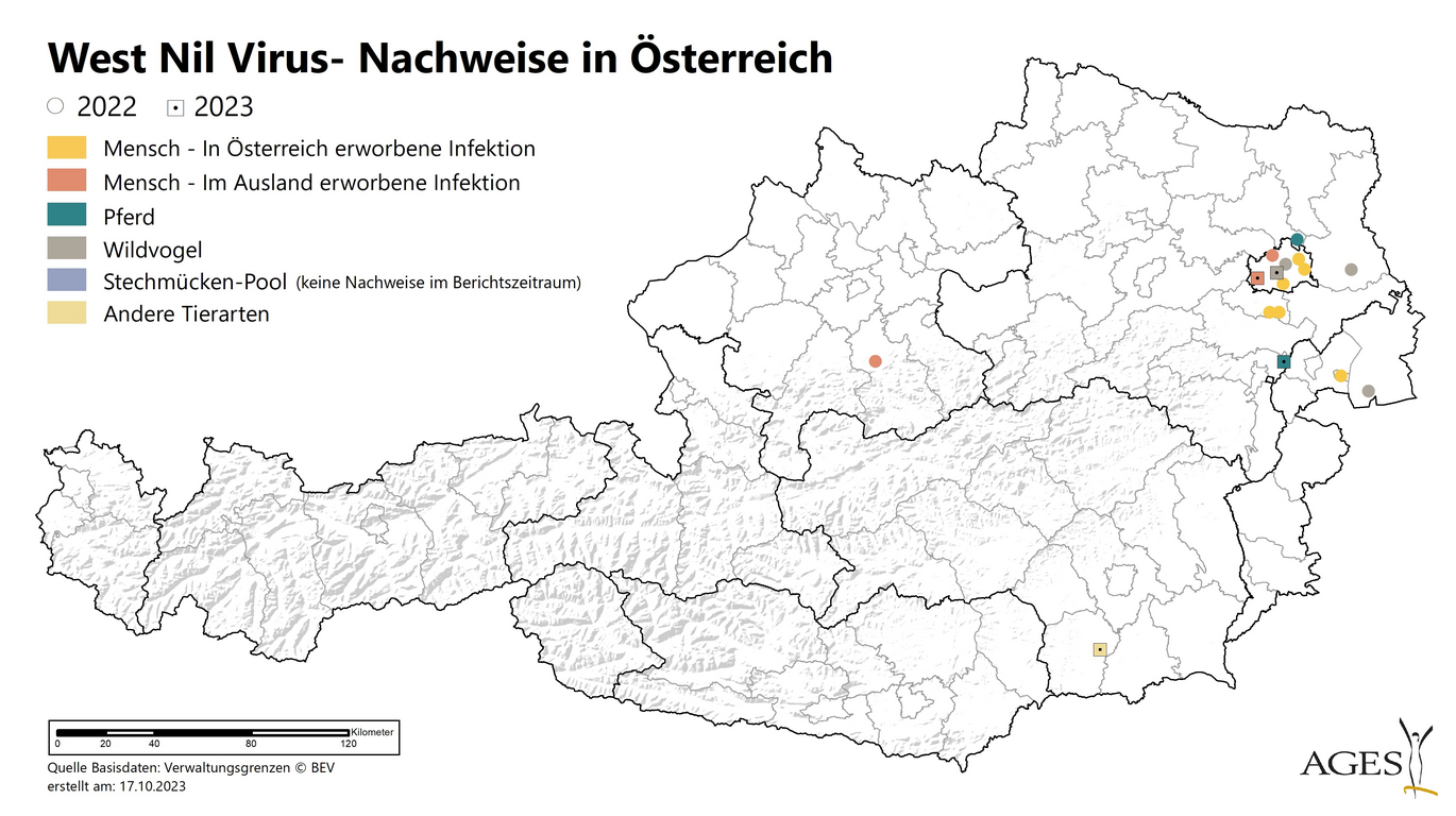 For each human infection acquired in Austria, the probable site of infection is shown on the map. For each human infection acquired abroad, the district of residence is displayed (data sources: human detections: EMS. animal detections: AGES). (Enlarges Image in Dialog Window)