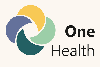 Icon One Health
