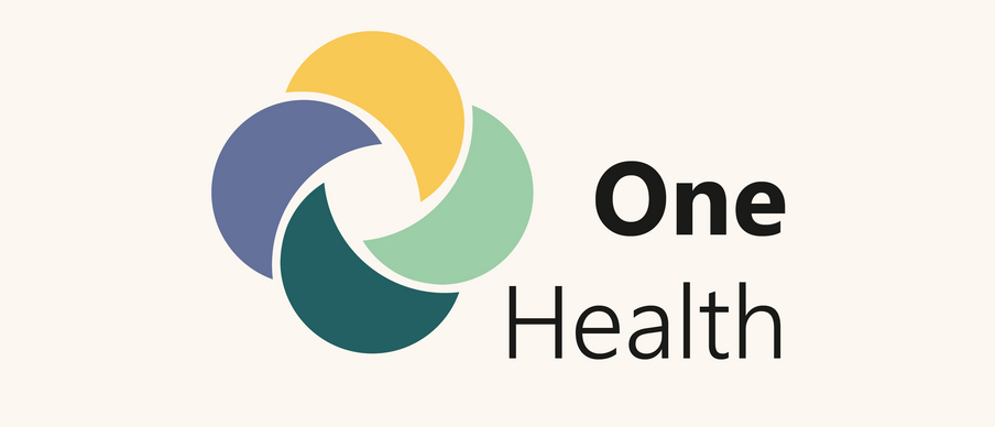Icon One Health