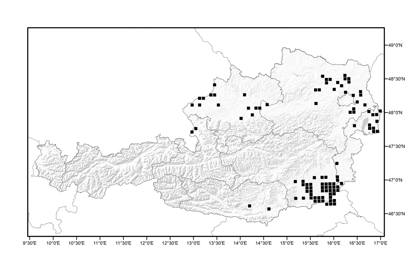 Distribution of Aleppo millet in Austria (Enlarges Image in Dialog Window)