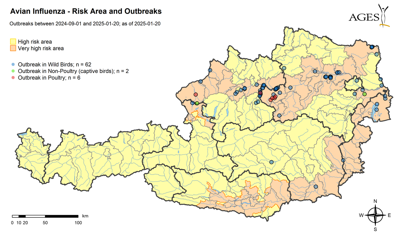 Risk areas and HPAI outbreaks since September 2024 (Enlarges Image in Dialog Window)