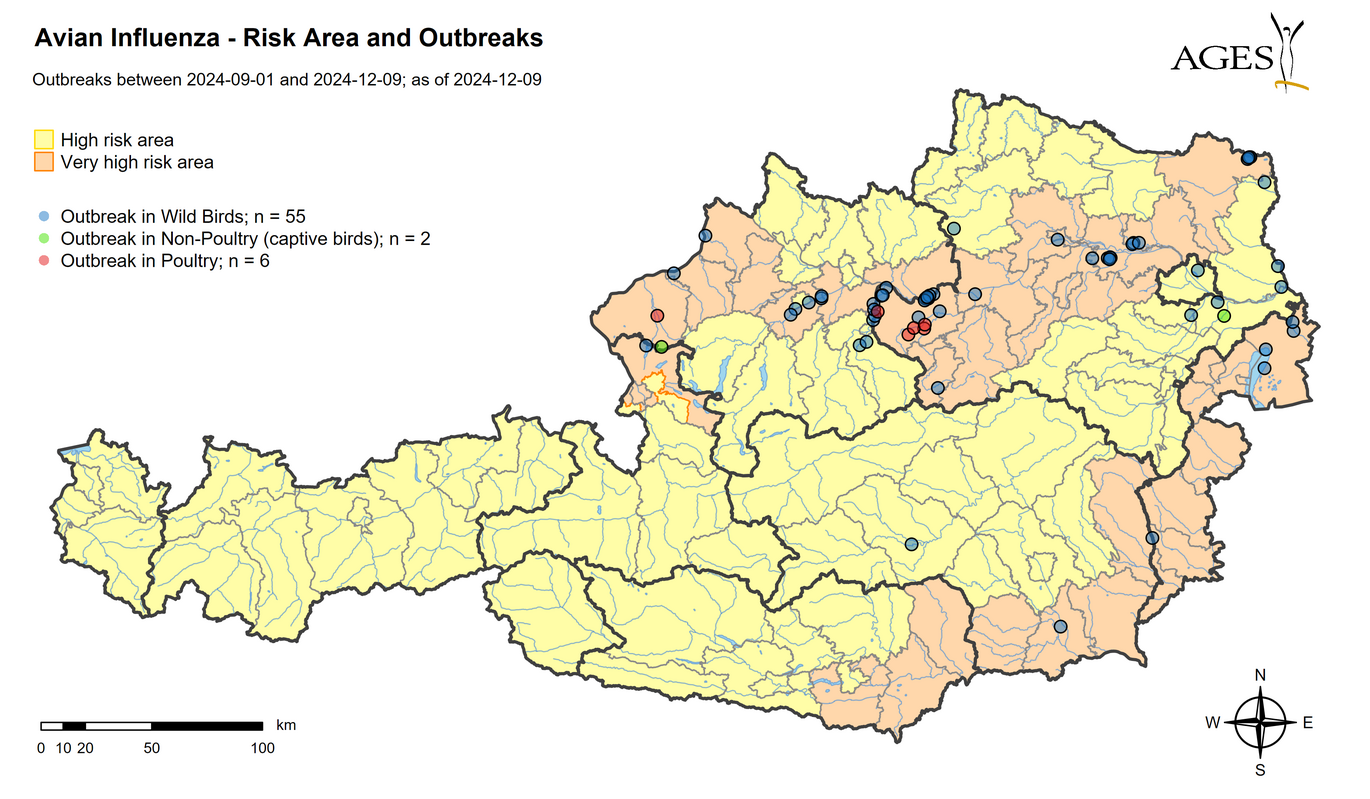 Risk areas and HPAI outbreaks since September 2024 (Enlarges Image in Dialog Window)