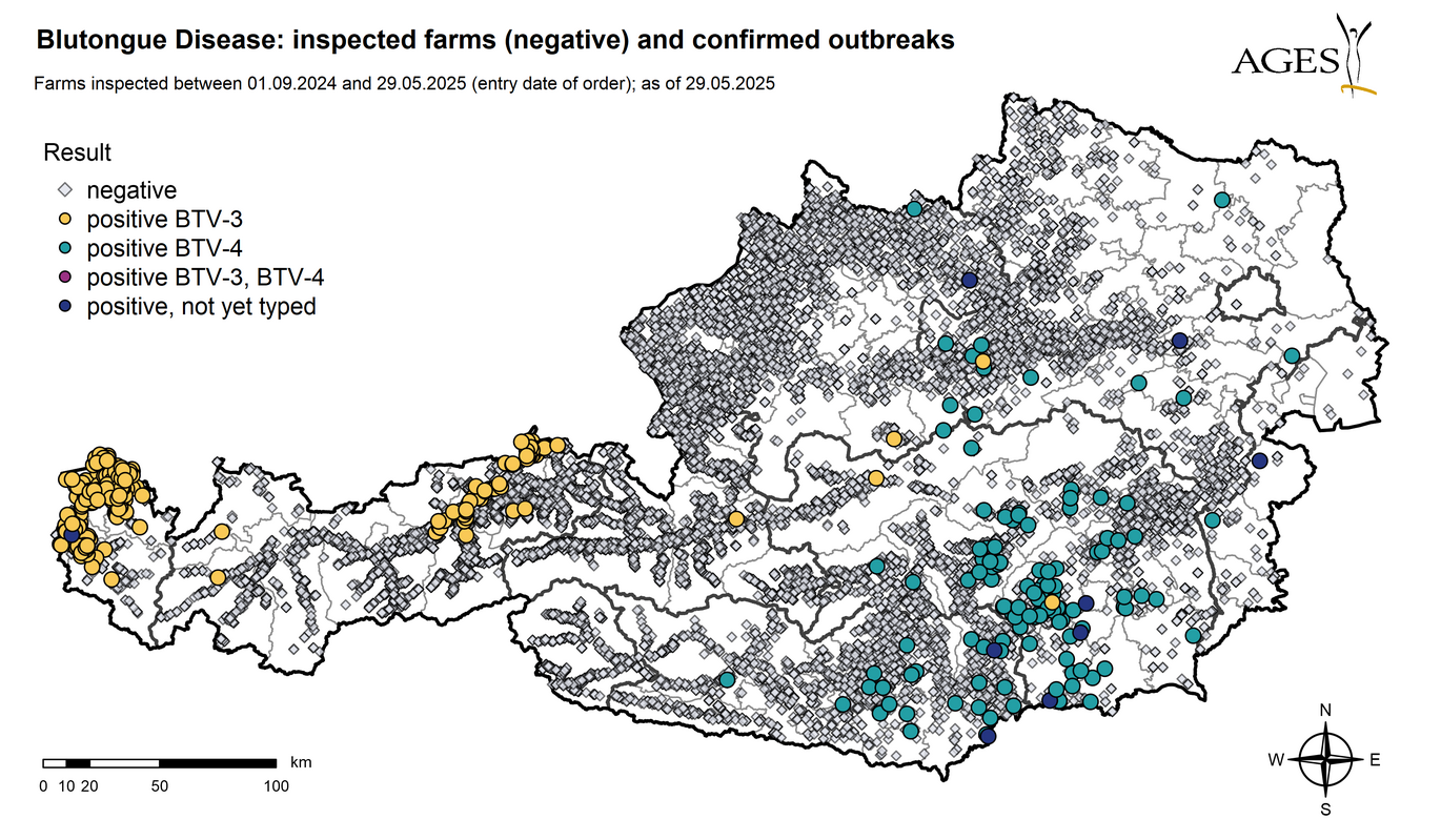 Establishments with negative results inspected in Austria since 01.09.2024: 13239 (Enlarges Image in Dialog Window)