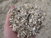 Sida chaff in detail