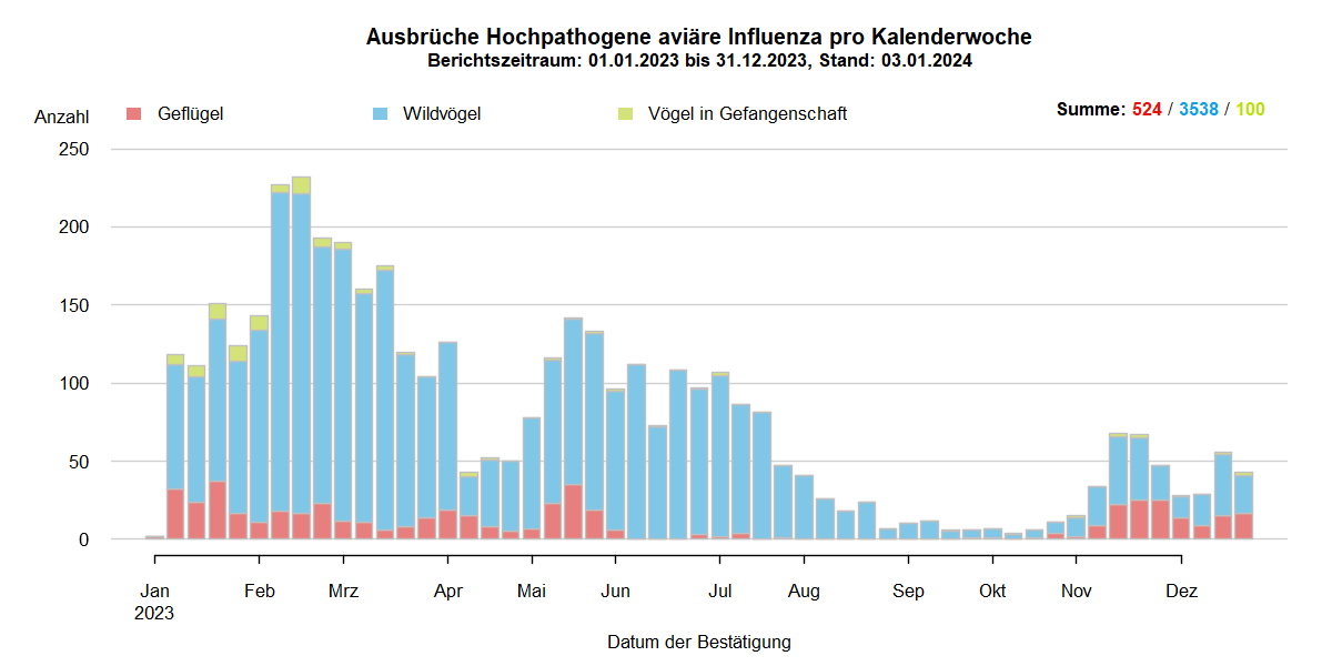 Verlaufsgrafik zu HPAI-Ausbrüchen in Europa: mit Beginn der HPAI-Saison 2022/2023 steigen im Oktober 2022 die Ausbruchszahlen an. Vermehrt sind auch Geflügelbestände und Vögel in Gefangenschaft in Europa betroffen. Im Frühjahr 2023 steigen die Ausbruchszahlen bei Wildvögeln bis April weiter stark an, während Geflügel und Vögel in Gefangenschaft nur noch selten betroffen sind. In den Sommermonaten 2023 kommt es aufgrund von Massenstreben in Brutkolonien von Seevögeln (Lachmöwen und Flussseeschwalben) zu einem erneuten starken Anstieg der Ausbrüche bei Wildvögeln. Bis zum September 2023 sinkt die Zahl dieser Ausbrüche auf wenige Meldungen, bei Geflügel und Vögeln in Gefangenschaft kommt das Seuchengeschehen fast gänzlich zum Erliegen. Ab Oktober 2023 steigen die Ausbruchszahlen wieder an, besonders bei Wildvögeln.