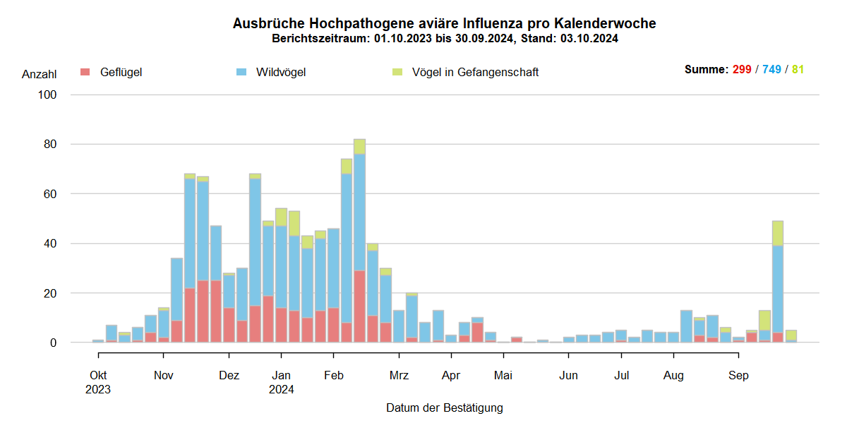 Verlaufsgrafik zu HPAI-Ausbrüchen in Europa: mit Beginn der HPAI-Saison 2023/2024 steigen im November 2024 die Ausbruchszahlen an. Vermehrt sind auch Geflügelbestände und Vögel in Gefangenschaft in Europa betroffen. Die Ausbruchszahlen bei Wildvögeln stiegen bis Februar 2024 weiter stark an. Bis zum Juni 2024 sinkt die Zahl der Ausbrüche auf wenige Meldungen, bei Geflügel, Wildvögel und bei Vögeln in Gefangenschaft.