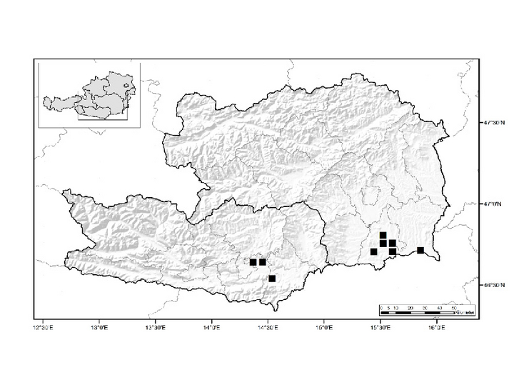 © AGES/Follak Karte von Kärnten und der Steiermark mit Verbreitung der Pferdenessel wie im Text beschrieben