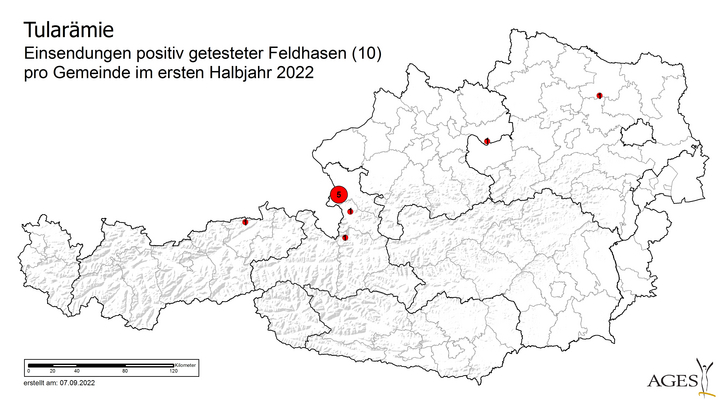 Tularämie - Einsendung positiver getesteter Feldhasen / Gemeinde im ersten Halbjahr 2022