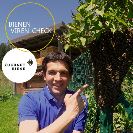 "We do the virus check on our bees because it is a valuable support to protect my bee colonies from the effects of Varroa infestation", Manfred Sackl, beekeeper from Carinthia.  (Enlarges Image in Dialog Window)